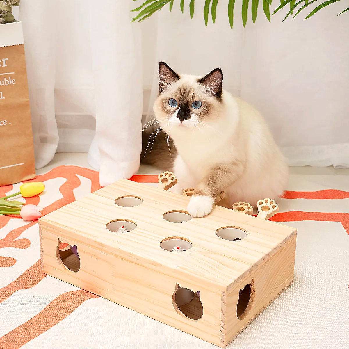 Interactive Whack-a-mole cat game