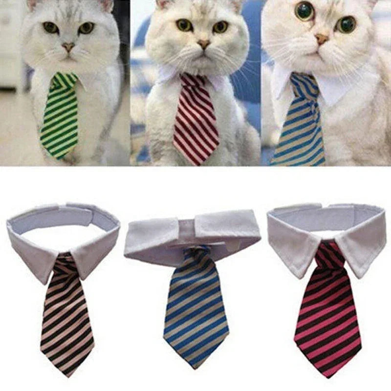 Tie Collar