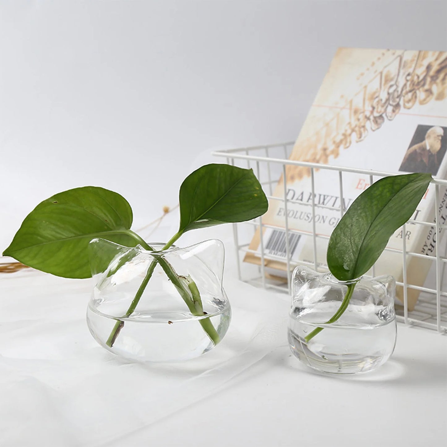 Cartoon Cat Glass Vase