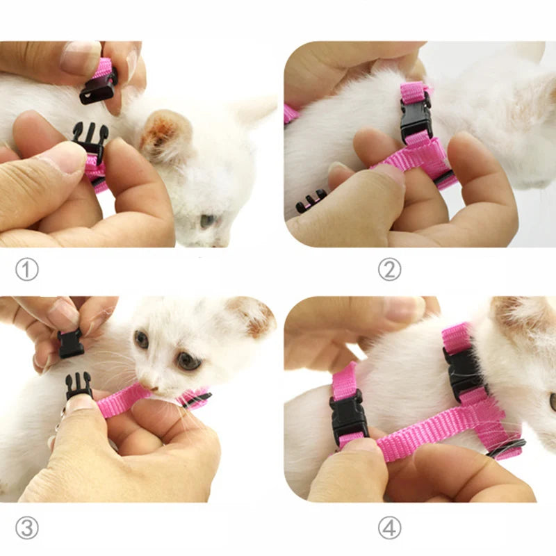 Angel Wings Pet Harness and Leash Set