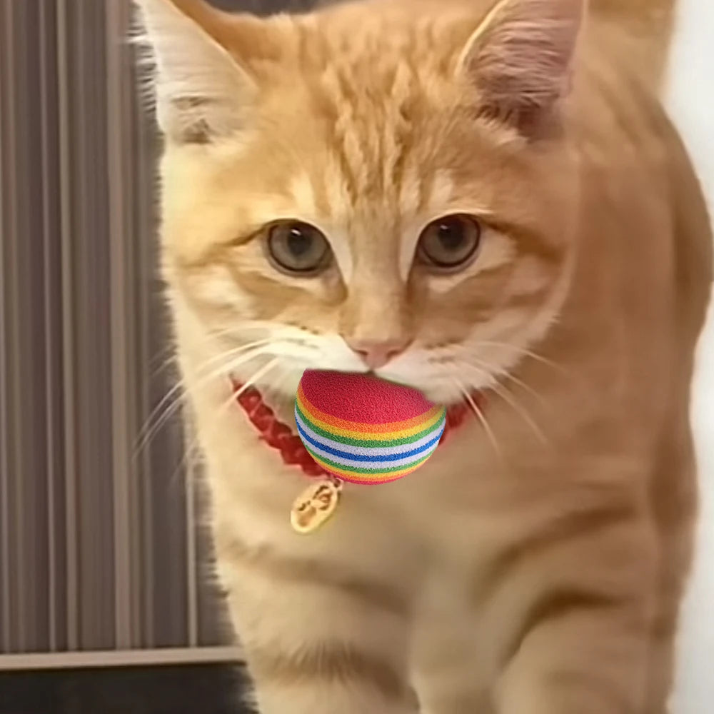 50/10Pc Colorful Cat Toy Ball EVA Bite-Resistant Elastic Rainbow Ball