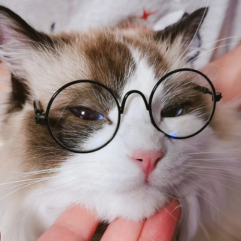 Vintage Round Cat glasses