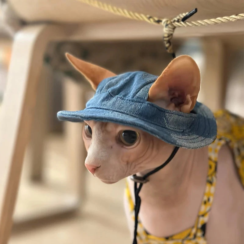 Bucket Cat Hat