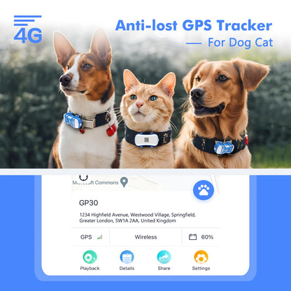 ‌4G  GPS Tracker for Pets - Waterproof Smart Locator with App, Live Tracking & Light/Sound Search, Free Trial Included