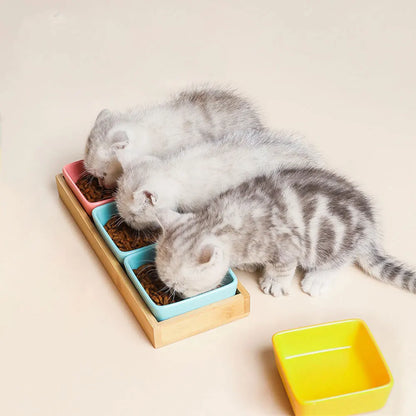 Kitten Square Ceramic Bowls