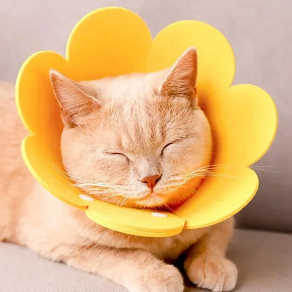 Flower Shape Durable Cat Recovery Collar Adjustable Wound Healing Protective Cone