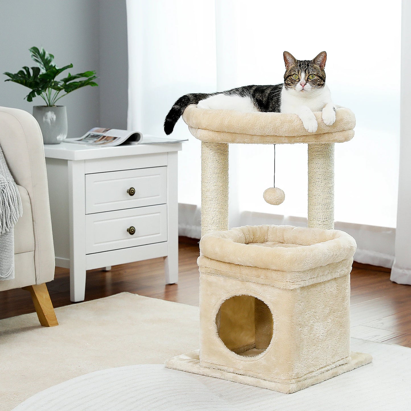 Small Cat Tree Tower