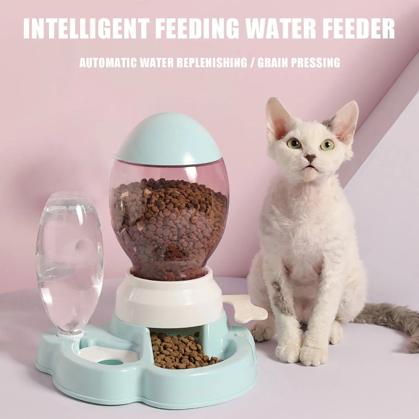 Automatic Feeder & Water Dispenser