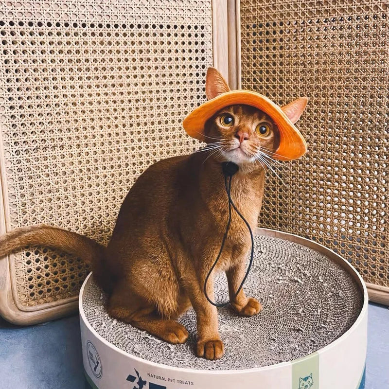 Bucket Cat Hat