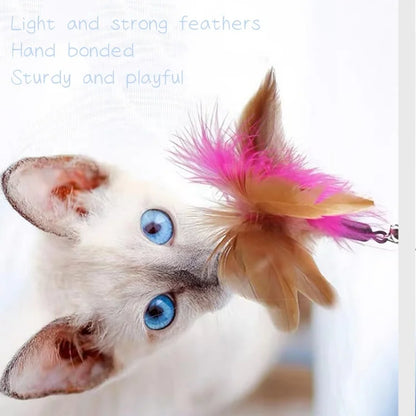 Funny Feather Teaser Stick with Bell Pet Collar