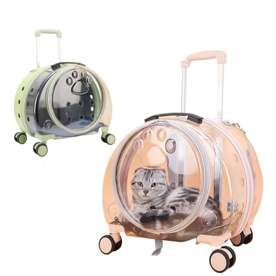 Portable Clear Pet Carrier