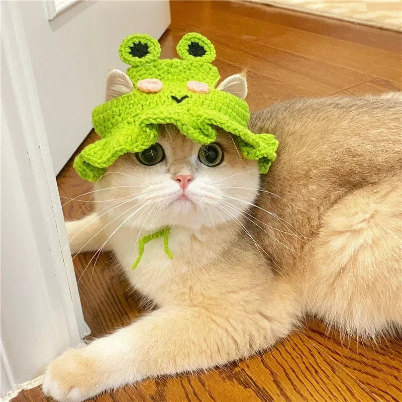 Cute Knitted Cat Hat