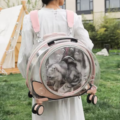 Portable Clear Pet Carrier