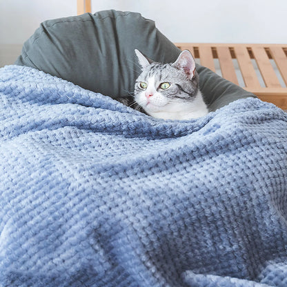 Soft Pet Blanket