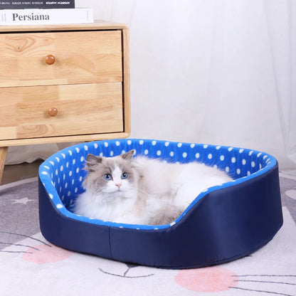 Polka-Dot Sponge Bed