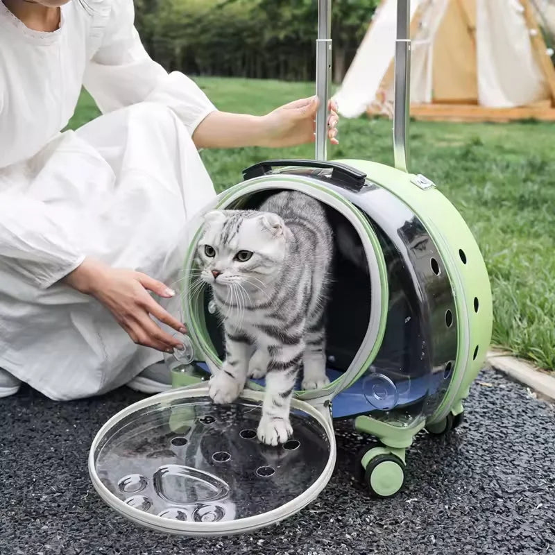 Portable Clear Pet Carrier