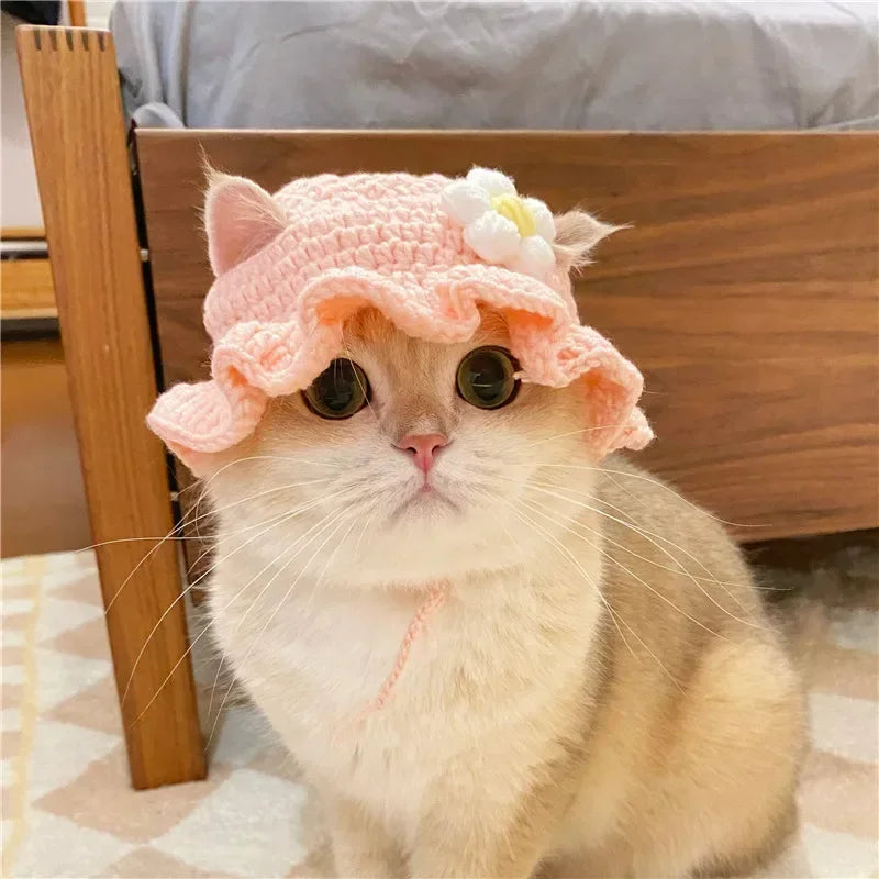 Cute Knitted Cat Hat