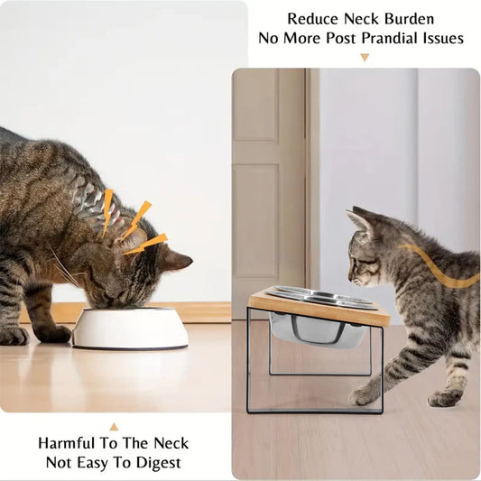 Elevated Cat Bowls 15° Tilted Raised Cat Food Bowls with Wooden Stand