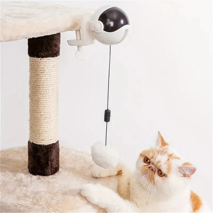 Fun Retractable Cat Teasing Ball