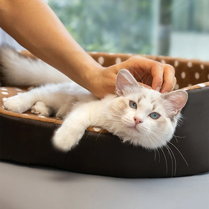 Polka-Dot Sponge Bed