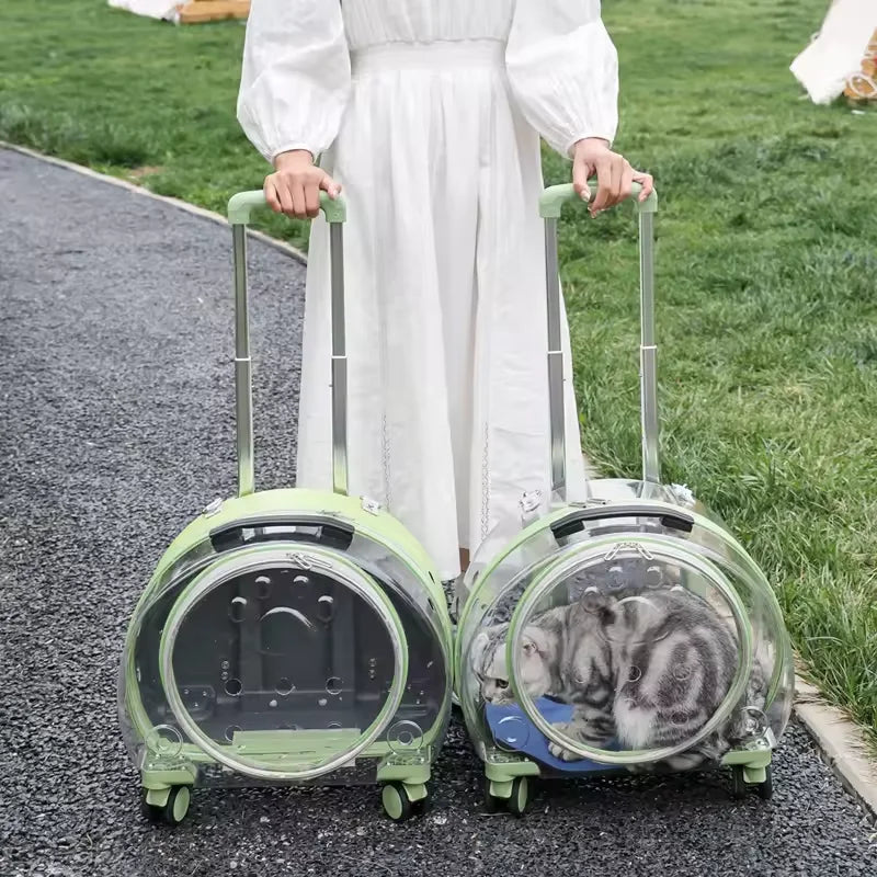 Portable Clear Pet Carrier