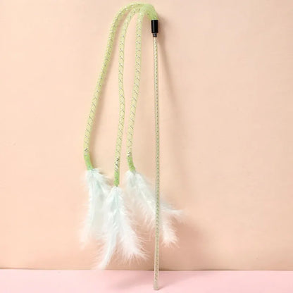 Pretty Feather Teaser Toy