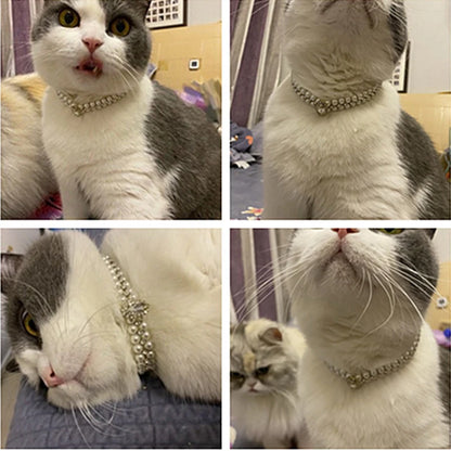 Luxury Cat Rhinestone Collar