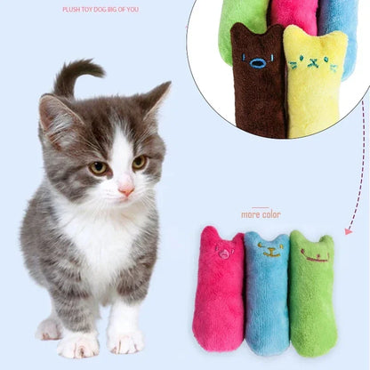 Teeth Grinding Catnip Toy