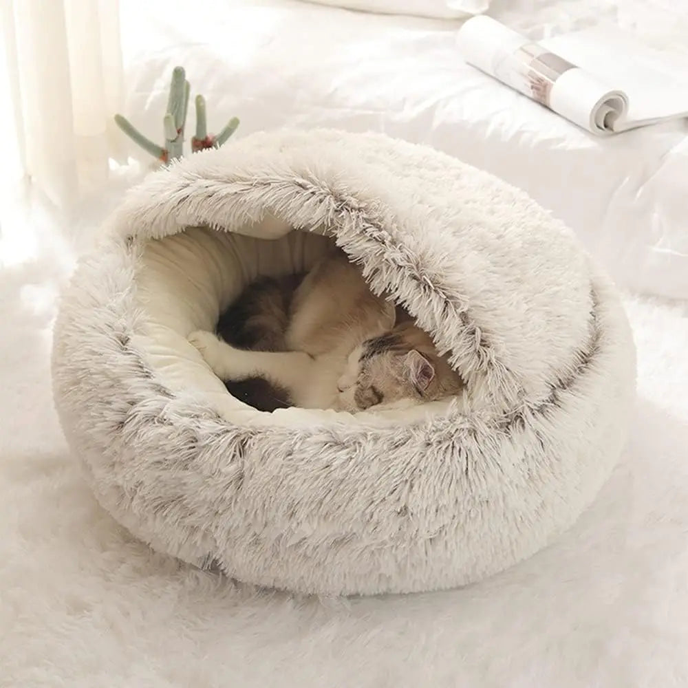 Cozy Cat