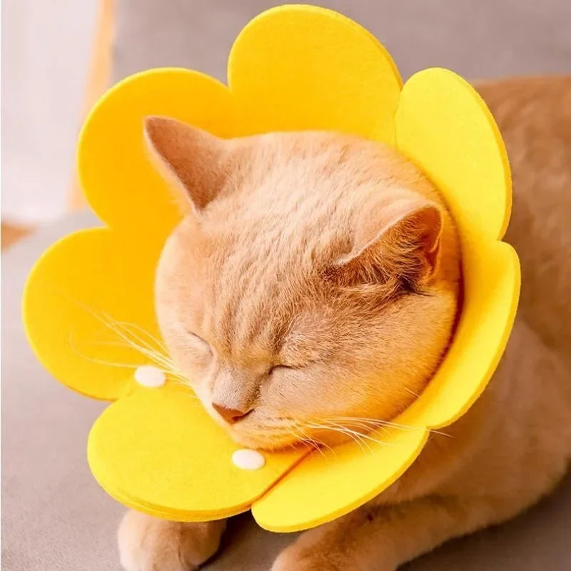 Flower Shape Durable Cat Recovery Collar Adjustable Wound Healing Protective Cone