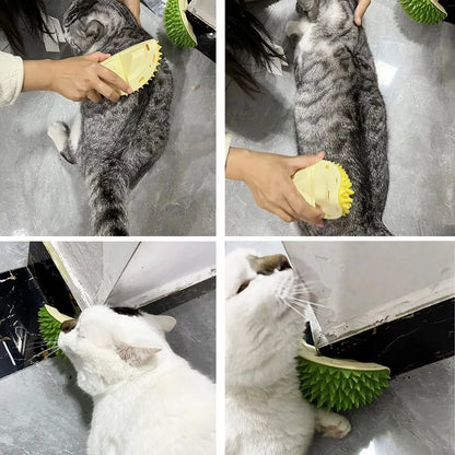 Cat Scratching Brush