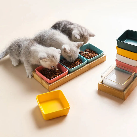 Kitten Square Ceramic Bowls