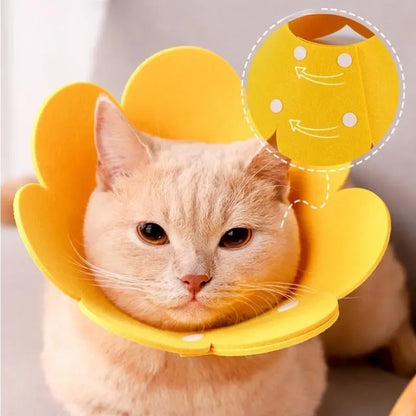 Flower Shape Durable Cat Recovery Collar Adjustable Wound Healing Protective Cone