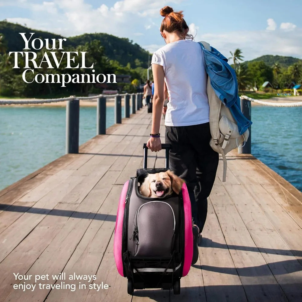 5-in-1 Convertible and Foldable Small Pet Carrier