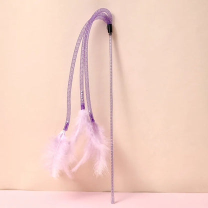 Pretty Feather Teaser Toy