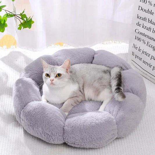 Cute & Cozy Bed