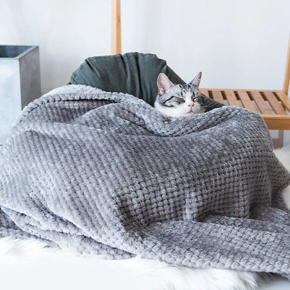 Soft Pet Blanket