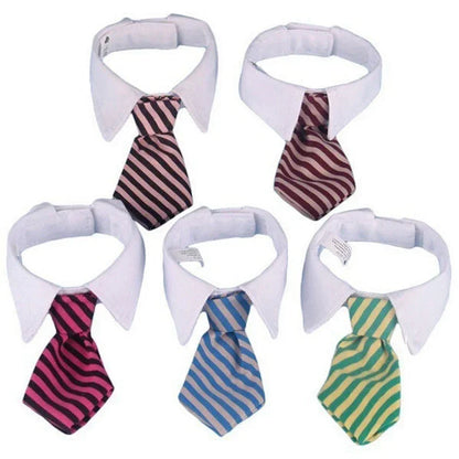 Tie Collar