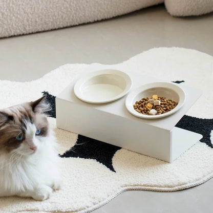 Double Ceramic Elevated Bowls