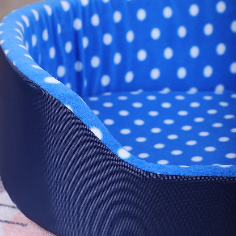 Polka-Dot Sponge Bed