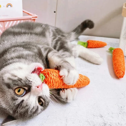 Cat Toy Carrot