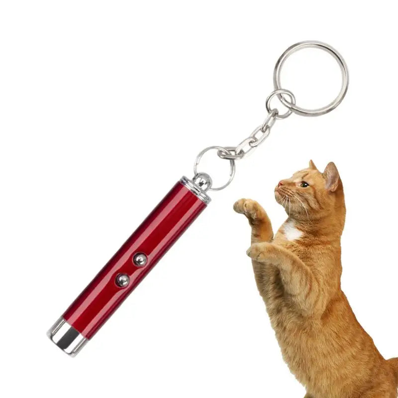 Cat Laser Pointer Toy