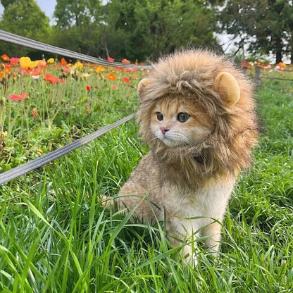 Funny Pet Hat Lion Mane for Cats