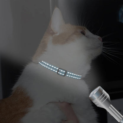 Personalized Cat Collar Reflective Nylon