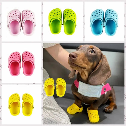 Cat Inspired Crocs-Crocs For Cats