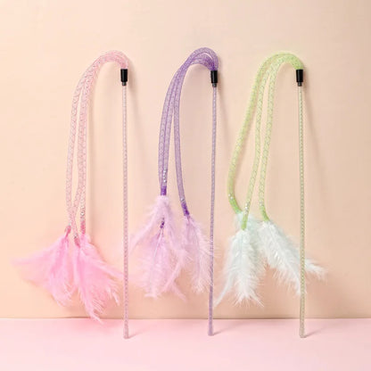 Pretty Feather Teaser Toy