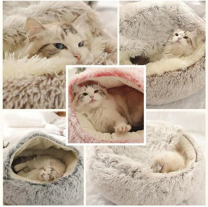 Cozy Cat