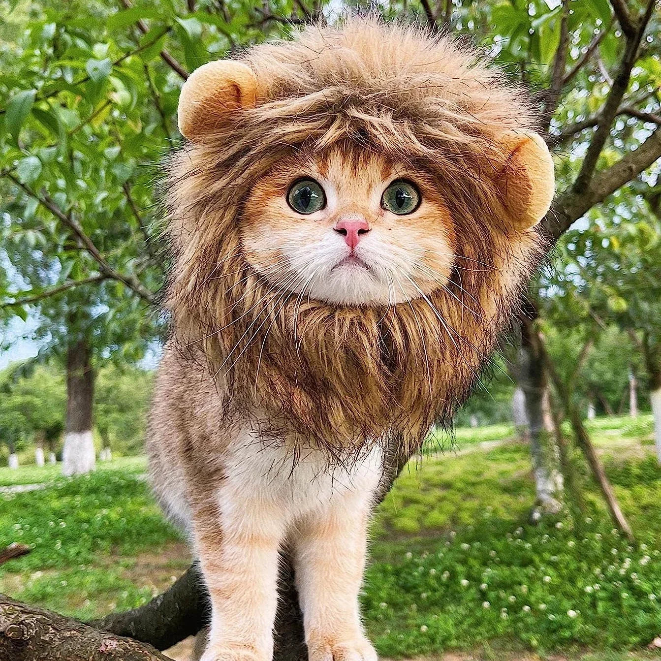 Funny Pet Hat Lion Mane for Cats