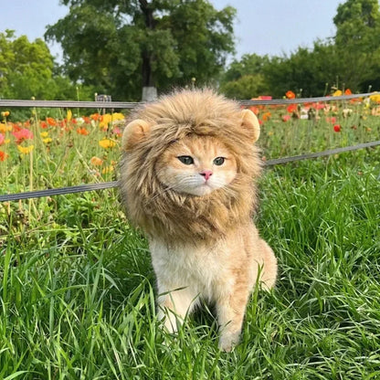 Funny Pet Hat Lion Mane for Cats