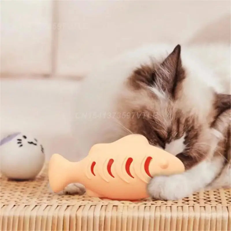 Silicone Cat Fish Toy